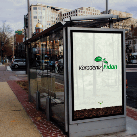 karadeniz-fidancilik-scaled