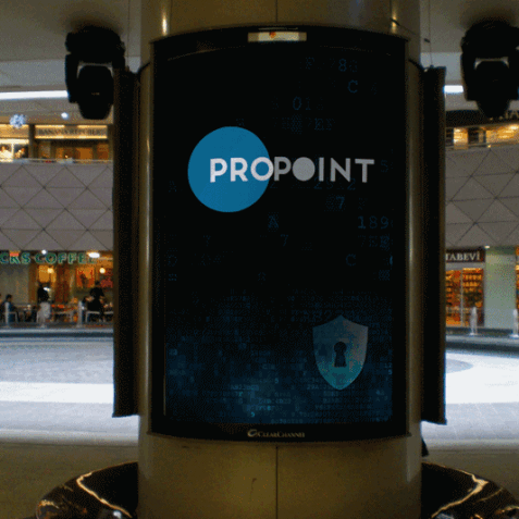 propoint-1